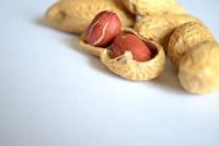 фъстъчено масло - 42154 бестселъри фъстъчено масло - 26403 бестселъри