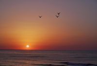 балнеолечебни пакети - 58699 отстъпки