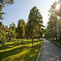 балнеолечебни пакети - 82124 предложения