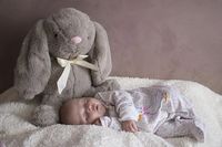 бебешки играчки - 12573 предложения