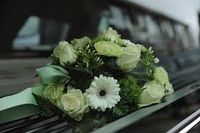 кремация - 39839 новини
