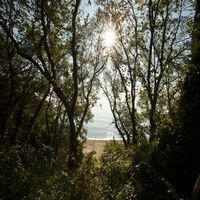 оферти за море - 54432 варианти