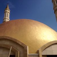 перлени мазилки - 18531 селекции