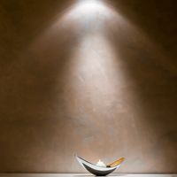 перлени мазилки - 92415 вида