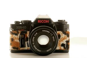 продуктова фотография - 21548 варианти