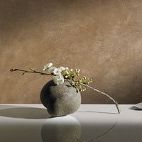 варови мазилки - 18573 новини