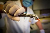 дентална клиника софия - 52880 типа