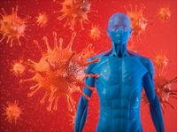 имуностимулатори - 50841 отстъпки