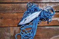 омега-3 - 11957 вида