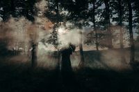 семейна фотосесия - 79136 предложения