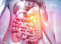 селен - 58243 възможности