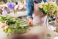 интериорно озеленяване - 54187 бестселъри