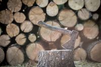 цепачки за дърва - 29741 промоции цепачки за дърва - 18860 промоции