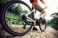 планински велосипеди - 76378 клиенти