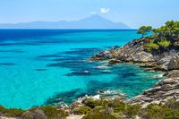 Halkidiki Resort - 56033 species