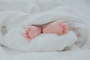 комплекти от две части от органичен памук - 96396 вида