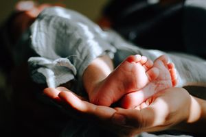 комплекти от две части от органичен памук - 62867 новини