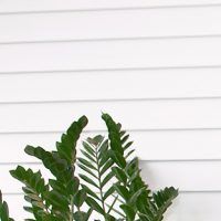 автоматични врати - 16770 новини