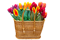 подаръчни кошници - 39648 практични