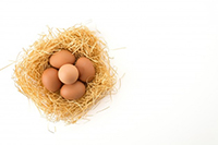 яйчен меланж - 32544 оферти