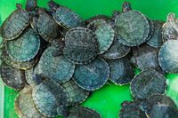 екскурзия Етиопия - 28656 промоции