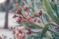 екскурзия Колумбия - 79840 вида