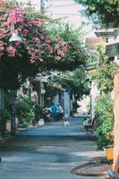 екскурзия Колумбия - 43619 оферти