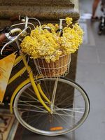 колела Cross - 83118 варианти