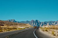 греди за багажник - 46148 разновидности