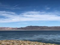 проходилки за възрастни - 27348 клиенти