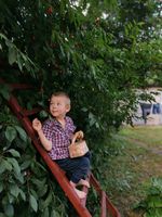 имунна система - 90471 варианти