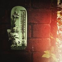 стайни термостати - 92876 разновидности