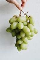 биоземеделия - 85674 клиенти