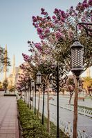 фенери за лов - 17621 варианти