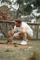 кенгуру - 69288 промоции