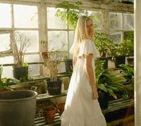 растениевъдства - 8261 селекции