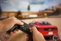 Ssd - 61351 вида