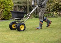 тревна смес - 24128 селекции