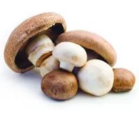 хранителен магазин - 84344 новини