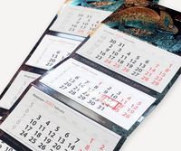производител на опаковки - 14098 клиенти | Nepedoni производител на опаковки - 37318 клиенти