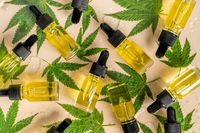 CBD масло - 76783 селекции CBD масло - 27750 селекции