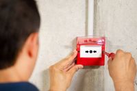 Commercial Electrical - 84592 options Commercial Electrical - 69520 options