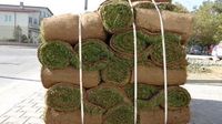 изкуствена трева за футбол - 12001 постижения | Organicsols изкуствена трева за футбол - 55560 постижения