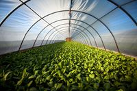 изкуствена трева за футбол - 91322 новини | Organicsols изкуствена трева за футбол - 43215 новини