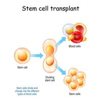 съхранение на стволови клетки мнения - 55948 новини | Bioregeneration съхранение на стволови клетки мнения - 68428 новини