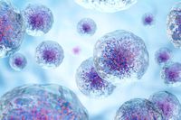 съхраняване на стволови клетки - 27027 снимки | Bioregeneration съхраняване на стволови клетки - 52728 снимки