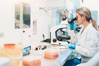 стволови клетки при раждане - 56941 промоции | Bioregeneration стволови клетки при раждане - 90870 промоции