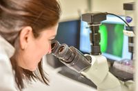 замразяване на стволови клетки - 54787 цени | Bioregeneration замразяване на стволови клетки - 82752 цени