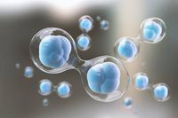 запазване на стволови клетки - 5545 възможности | Bioregeneration запазване на стволови клетки - 24232 възможности