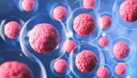 запазване на стволови клетки - 3558 варианти | Bioregeneration запазване на стволови клетки - 78561 варианти